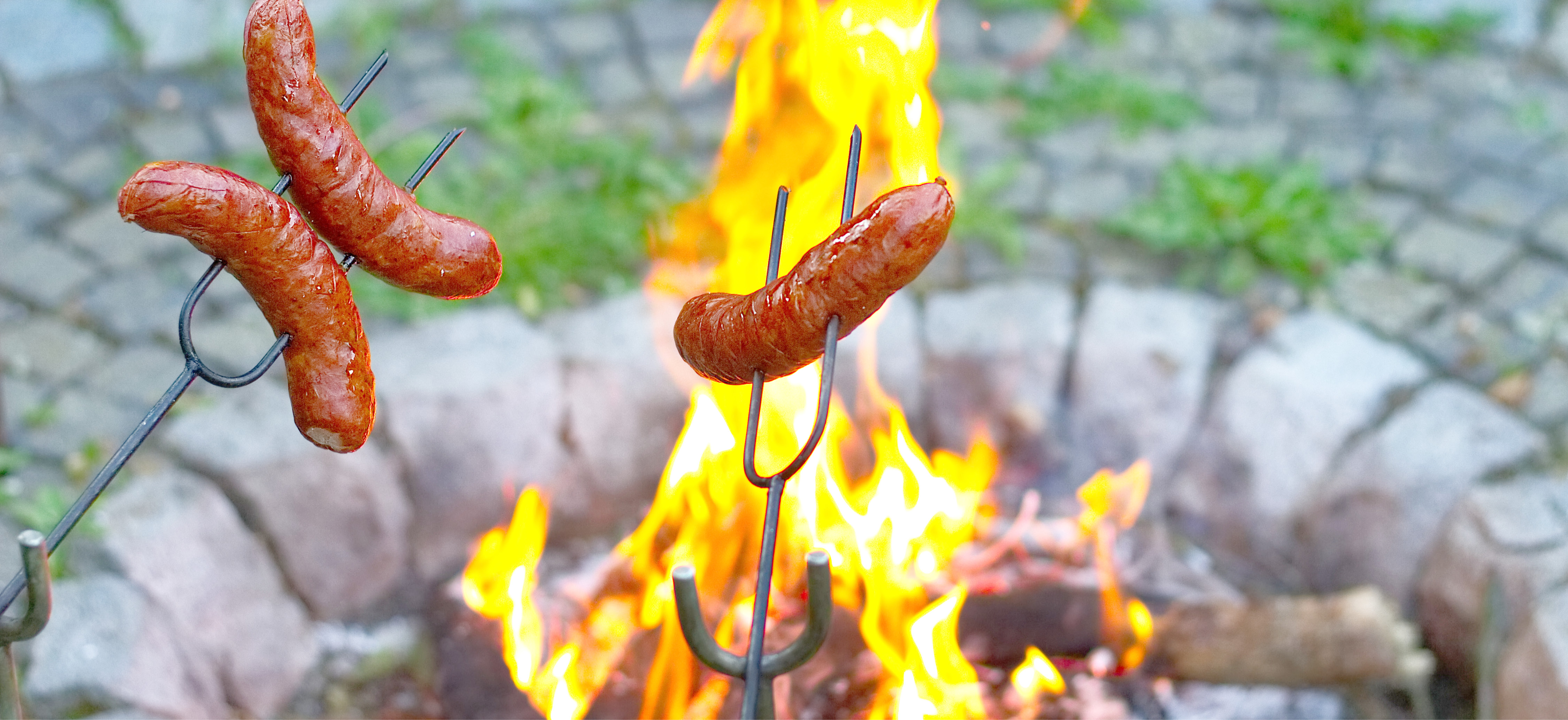 Griller pølser med pølsepinner over bål utendørs i bålpanne