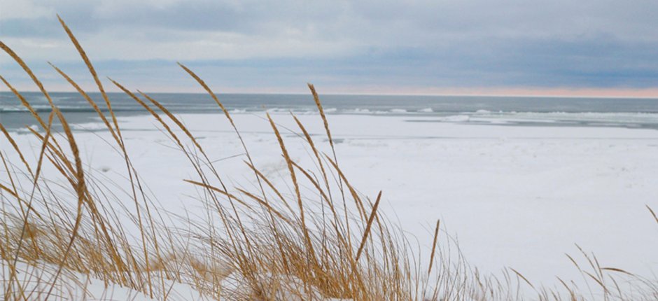 Scan danish beach winter