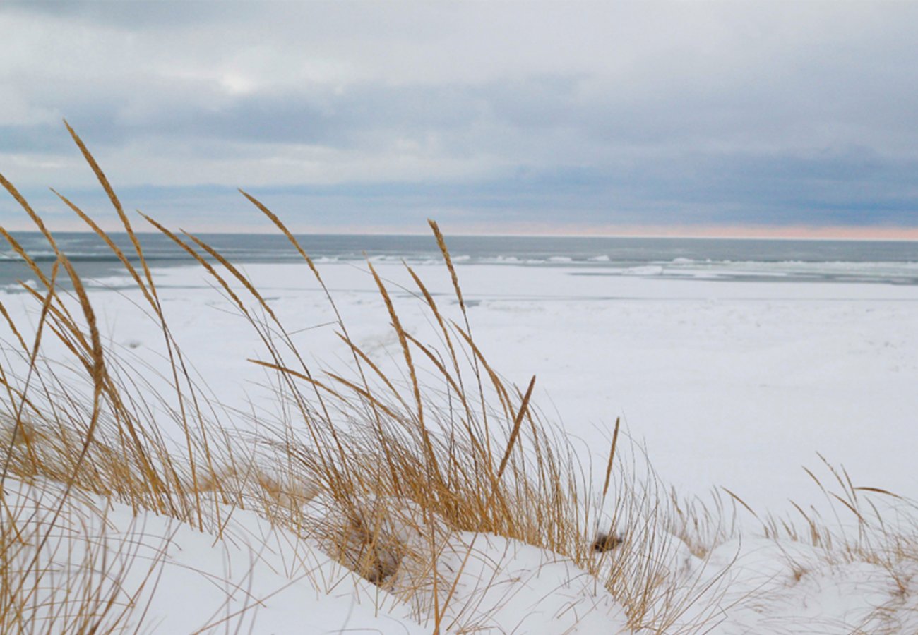 Scan danish beach winter