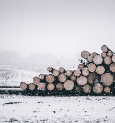 Winter logs